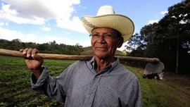 Bakanlıktan müjde! Çiftçilere ödenek...