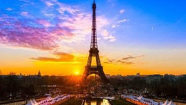 Patron gerçekten çıldırdı!