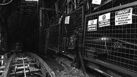 1 yılda 5 bin kişi