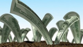 Yabancı yatırımı azaldı