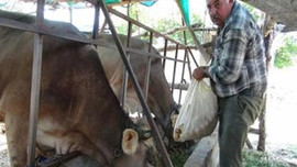 Bir ay önce 5 liraydı şimdi...