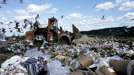 Enerji için çöp ithal ediyor