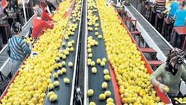 İstanbul eksi yazdı enflasyon umutlandı