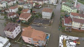 Sellerin ekonomiye zararı 100 milyon dolar!