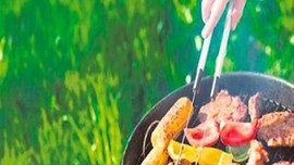 Piknik sezonu açıldı fiyatlar kanat taktı