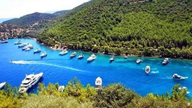 Bodrum'u ceheneme çevirdiler!