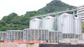 Dünyanın ilk fındık borsası Giresun'da kurulacak!