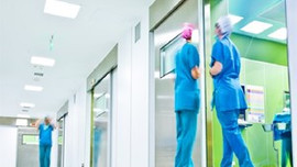 O ilde kene paniği!