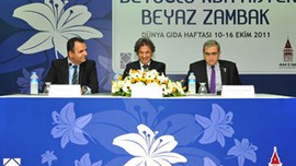 Beyaz Zambak Projesi...