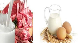 "Süte zam gelmedi, üretici hayvanını kesti"