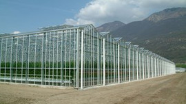 Topraksız üretim, 'Cam' sera...