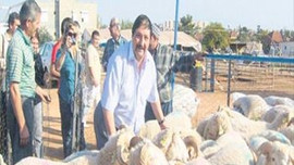 Emekliye 700 TL kurban parası!