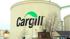 Cargill'den dev satın alma!