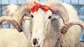 Diyanet kurban bedellerini açıkladı