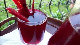 Japonya Doğanay Şalgam üretecek!