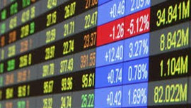 Koza şirketleri hisseleri çöktü!