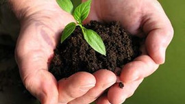 Toprak analizi yaptırma süresi uzatıldı...