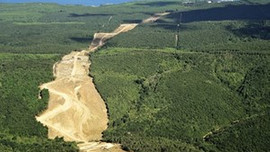 İstanbul'da arsa fiyatlarının tavan yaptığı bölgeler!