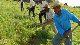 Çiftçilere müjde!