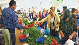 SGK seralara el attı! Sebze-meyve fiyatları yükselmedi