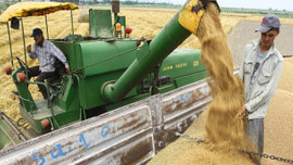 Başbakan'dan çiftçiye müjde! Mazotun yarısı devletten