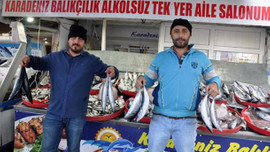 Palamut satışı 14 kat arttı