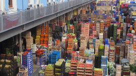 Rusya Türk sebzelerini denetleyecek