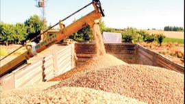 Çiftçiye müjde! Dev destek geliyor