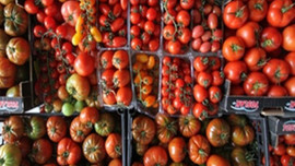 Meyve ve sebze üreticileri 10 Ekim'i bekliyor