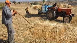 Çiftçiye 13 milyar lira destek geliyor