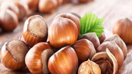 Fındık 10 liraya kadar düştü