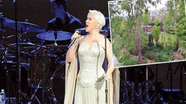 Minik Serçe'ye kira şoku!