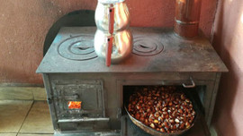 Kestane yüz güldürüyor