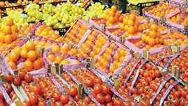 Ataşehir Hali Tuzla'ya taşınıyor