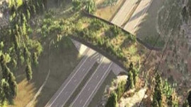 Kuzey Marmara Çevre Yolu'na ekolojik viyadükler yapılacak