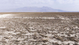 Türkiye'nin en büyük güneş tarlasına ilgi artıyor