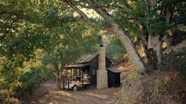 Gözlerinize inanamayacaksınız! 13 metrekarelik orman evi