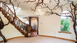 İşte hayalleri süsleyen masalsı ağaç ev