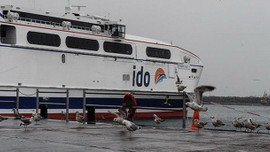 BUDO ve İDO seferleri iptal edildi