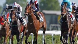 At yarışlarına özelleştirme yolu açıldı