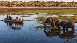 Kalari Çölü'nün yeşil şehri Botsvana