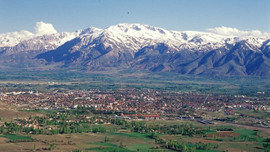 Türkiye Şeker fabrikasını 1 yıllığına kiraya veriyor!