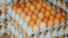 İhracat talebi patladı yumurta fiyatları uçuşa geçti