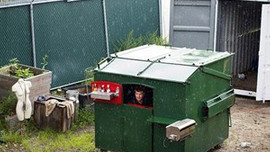Hiç çöp konteynerinden ev gördünüz mü?