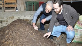 Akademik kariyerini bıraktı solucan gübresi üretiyor