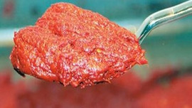 Salçada domates-biber iş birliği