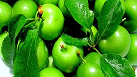 Eriğin 100 gramı 30 liradan satılıyor