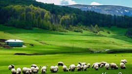 Burası Türkiye'de en yaşanılabilir kent!