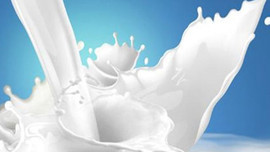 Süt üreticileri müdahaleden memnun