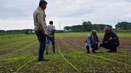 Astronotların yiyeceği Ağrı Dağı'nda yetiştirildi